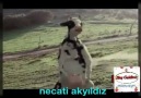 INEK GÜDÜYOM INEK