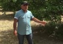 INFERTIS KULLANICI YORUMLARI INFERTIS FARK YARATIR Süleyman Mert