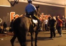 In New Orleans even the police horses boogie out.