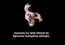 İnsanı Yetiştirmek!