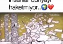 İnsanlar bu dünyayı haketmiyor..... - HAYTAP (Hayvan Hakları Federasyonu)