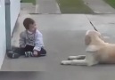 İnsanların veremedigi sevgiyi Köpek... - Dersimli olmak bir Ayricaliktir