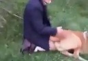 İnsanlar Yetmedi Bir de Köpeklere Tecavüz Etmeye Başladılar...