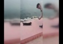İnsanlıktan nasibini almamış!