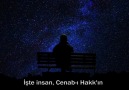 İnsan Nedir