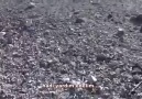 İnsanoğlu!