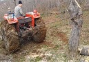 Insta Videos - Tractor Vs Tree Stump Facebook