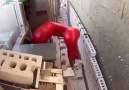 Intelligent Robot Builds Wall