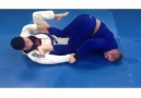 Interesting ankle lock transition into armbar@jiujitsuviciados repost