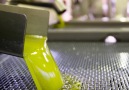 Interesting Engineering - How Olive Oil is Made Facebook