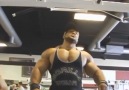 IN THE GYM IM THE BEAST Bodybuilding Motivation