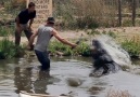 In this episode things get scary!! Colorado Gator Farm