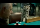 İpragaz Kedili reklam  (H)