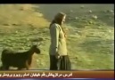 İran-Afşar Köyü