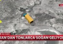 İran&tonlarca soğan geliyor