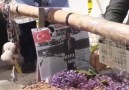 Irfan Yılmaz - Mersedes Kadirin bugünkü defin videosu...
