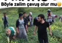 İşçinin hakkını alın teri kurumadan verin1 Mayıs kutlu olsun