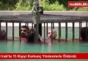 IŞİD IRAKTA 15 KİŞİYİ KORKUNÇ YÖNTEMLERLE ÖLDÜRDÜ 18