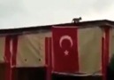 Işıkaltun MEDYA - Bu vatanın kedisi bile bu bayraga...