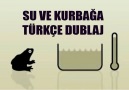 Isınan Su ve Kurbağa Deneyi (Türkçe Dublaj)