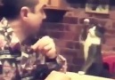 İşitme engelli sahibinden işaret diliyle yemek isteyen kedicik