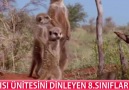 Isı ünitesinde 8.sınıflar