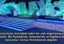 İslam'da homoseksüellik