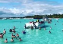 Isla Saona en Repblica Dominicana