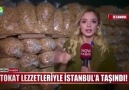 İSTANBUL BURAM BURAM TOKAT KOKUYOR... - TEK sevdamız TOKAT