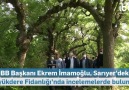 İstanbul Büyükşehir Belediyesi - Büyükdere Fidanlığı