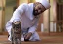 İstanbul'da camiyi kedilere açan imam halkın beğenisini topladı!