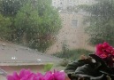 İstanbulda yağmurlu bir gün... - Karadeniz -Karadeniz