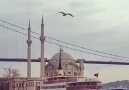İstanbul - OrtaköyVideo Tarık Saroğlu