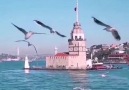 İstanbul Tarih - Sevdikçe tutunmalı.Küçük şeylerin büyük...