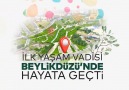 İstanbul&15 Yaşam Vadisi Yapacağız.