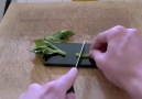 İşte iPhone 5'in Gizli Özellikleri!
