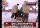 İŞTE KARAMAN'IN KOYUNU