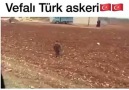 İşte vefalı askeri