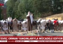 İsveçte Müslümanlar yağmur duasına çıktı