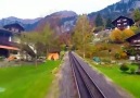 İsviçre&bir tren yolculuğu