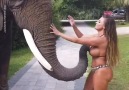 It&Gone Viral - Elephant Won&Leave Woman Alone Facebook