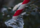 Iurie Belegurschi - Frozen Soap Bubble! Facebook