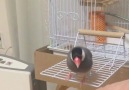 Ive never seen such a happy little munchkin Video by instagram.com321ori