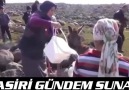 iyi geceler bu güzel klibi dinleyın Mest olursunuz...