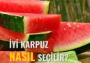 İyi karpuz nasıl seçilir