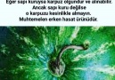 İyi karpuz seçmenin 6 sırrı