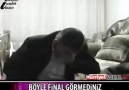 izle kop gülmekten şiddetle tavsiye edillir:))