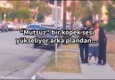 İZLİYİN AGLIYCEK SİNİZ BEN AĞLADIM İNSANLIĞA KÖPEK DERS VERİYO...