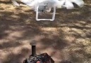 İzmirde mangalı Drone ile yakan piknikçiler.