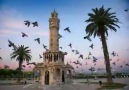 İzmir Karabağlarda HDPli bir Kürt seçmen. Muhteşem cevaplar )